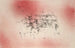 Fuglelandskabsmaleri - Paul Klee — visning af kunstværket