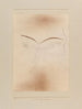 Lille spøgelsesdyr-maleri - Paul Klee — visning af kunstværket