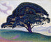 Le pin de Bonaventure - Paul Signac — visning af kunstværket
