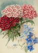 Bouquet de printemps - Paul de Longpré — visning af kunstværket