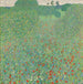 Poppy i blomst Poppy-prærie - Gustav Klimt — visning af kunstværket
