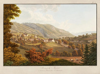 Bourg de Moutier - Peter Birmann — visning af kunstværket