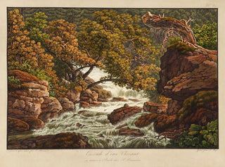 Cascade d'eau Chéret - Peter Birmann — visning af kunstværket