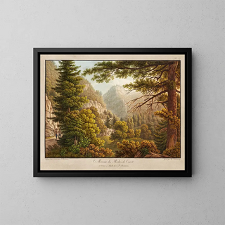 Peter Birmann - Morceau des Roches de Court.webp