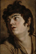 Tête d'un jeune homme - Peter Paul Rubens — visning af kunstværket
