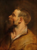skægget mandshoved - Peter Paul Rubens — visning af kunstværket