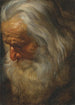 Studie af en ældre, skægget mand - Peter Paul Rubens — visning af kunstværket