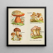 Petit atlas des champignons Pl 13 - Delachaux Niestle — indrammet kunstværk på væggen