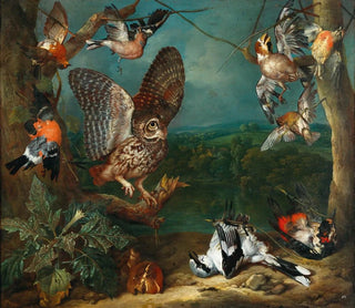 Philipp Ferdinand de Hamilton - An owl and other birds.webp
