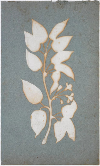 Philipp Otto Runge - Bltenzweig.webp