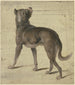 Hund - Philipp Rumpf — visning af kunstværket