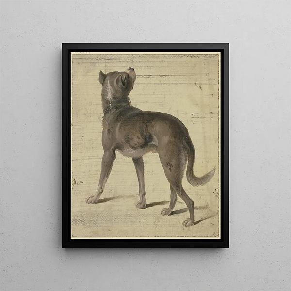 Philipp Rumpf - Dog.webp
