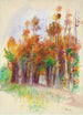 Bosquet d'arbres - Pierre-Auguste Renoir — visning af kunstværket