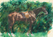 En hest - Pierre-Auguste Renoir — visning af kunstværket
