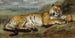 Tigre au repos - Pierre Andrieu — visning af kunstværket