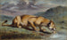 Lionne blessée - Pierre Andrieu — visning af kunstværket