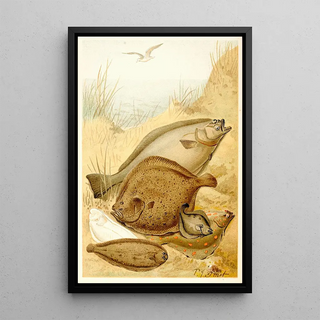 Pierre Jacques Smit - Flat fish.webp
