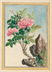 Plantes de Chine Pl002 - Pierre Joseph Buchoz — visning af kunstværket