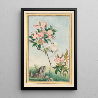 Pierre Joseph Buchoz - Plantes de Chine Pl007.webp