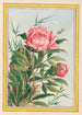 Plantes de Chine Pl009 - Pierre Joseph Buchoz — visning af kunstværket