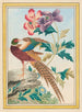 Plantes de Chine Pl.024 - Pierre Joseph Buchoz — visning af kunstværket