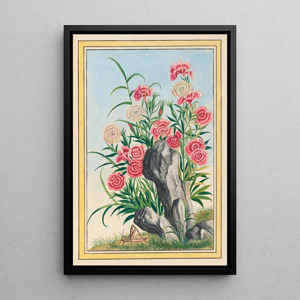 Pierre Joseph Buchoz - Plantes de Chine Pl030.webp