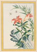 Plantes de Kina Pl033 - Pierre Joseph Buchoz — visning af kunstværket