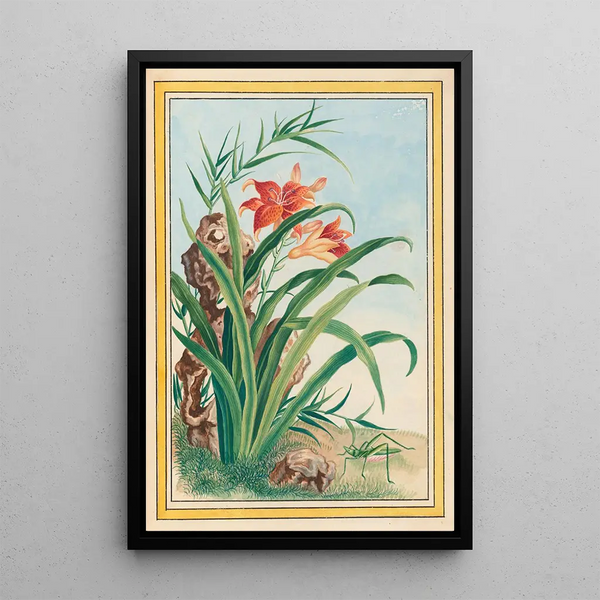 Pierre Joseph Buchoz - Plantes de Chine Pl034.webp