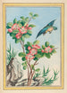 Plantes de Chine Pl045 - Pierre Joseph Buchoz — visning af kunstværket