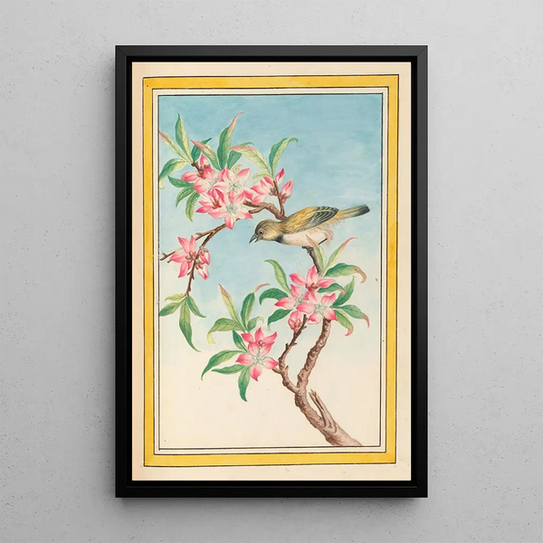 Pierre Joseph Buchoz - Plantes de Chine Pl052.webp