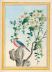 Plantes de Chine Pl063 - Pierre Joseph Buchoz — visning af kunstværket