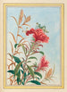 Plantes de Chine Pl077 - Pierre Joseph Buchoz — visning af kunstværket