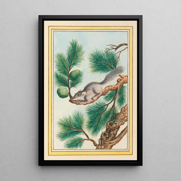 Pierre Joseph Buchoz - Plantes de Chine Pl093.webp