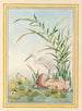 Plantes de Chine Pl094 - Pierre Joseph Buchoz — visning af kunstværket