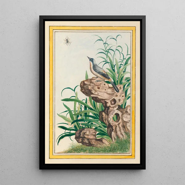 Pierre Joseph Buchoz - Plantes de Chine Pl095.webp