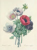 Udvalg af de smukkeste blomster pl 008 - Pierre-Joseph Redouté — visning af kunstværket