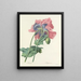 Udvalg af de smukkeste blomster pl 063 - Pierre-Joseph Redouté — indrammet kunstværk på væggen