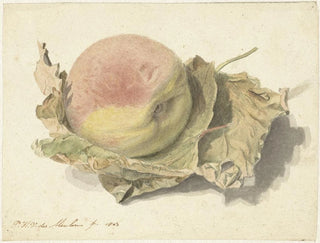 Pieter van der Meulen - Perzik op twee bladeren.webp