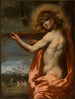 Apollon - Pietro della Vecchia — visning af kunstværket