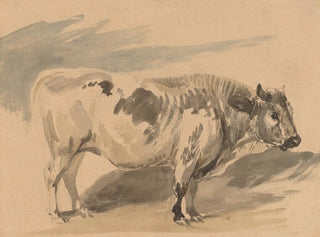 Piotr Michaowski - Study of Simentaler breed bull.webp