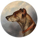 Portrait de chien rond - Carl Reichert — visning af kunstværket