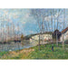 Reproduktion af maleriet Forår ved Loing-floden - Alfred Sisley
