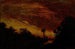 Crépuscule - Ralph Albert Blakelock — visning af kunstværket
