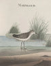 Histoire naturelle de Saint-Domingue Pl051 - René de Rabi — visning af kunstværket