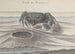 Histoire naturelle de Saint-Domingue, Pl. 120 - René de Rabi — visning af kunstværket