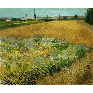 Reproduction Champ de blé - Vincent van Gogh