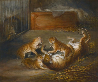 Richard Barrett Davis - Three liger Cubs Bred Between A Lion And A Tigress At The Royal Menagerie.webp