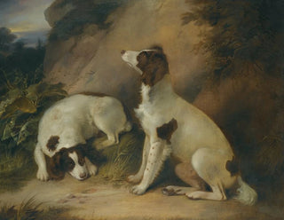 Richard Livesay - Two springer spaniels in a rocky landscape.webp