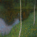 Rivage med birketræer - Gustav Klimt — visning af kunstværket