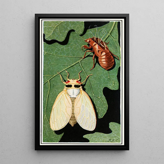 Robert Evans Snodgrass - Cicada.webp